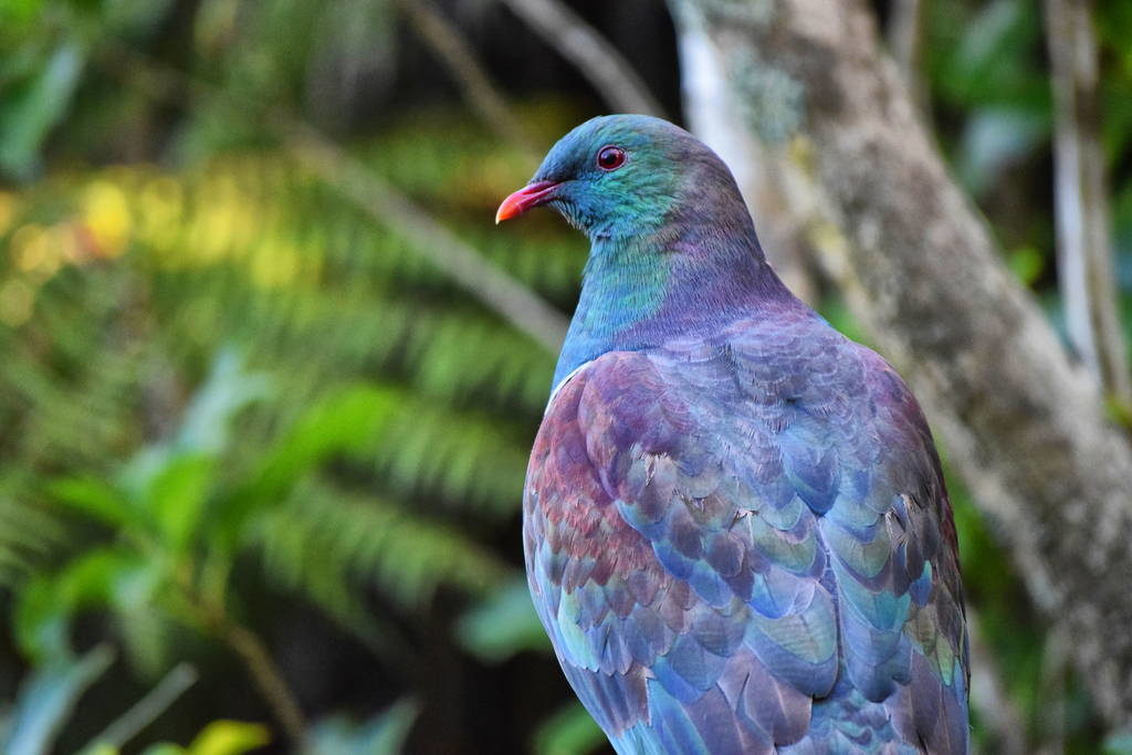 Exotic Pets Make For Wonderful Photographs