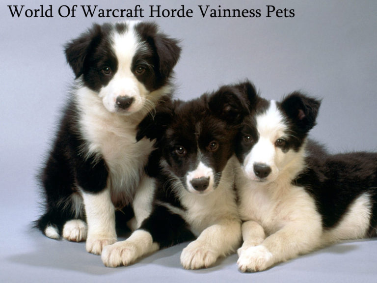 World Of Warcraft Horde Vainness Pets