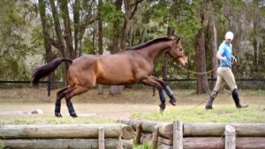 Increase Your Riding Performance with a Few Simple Exercises-2