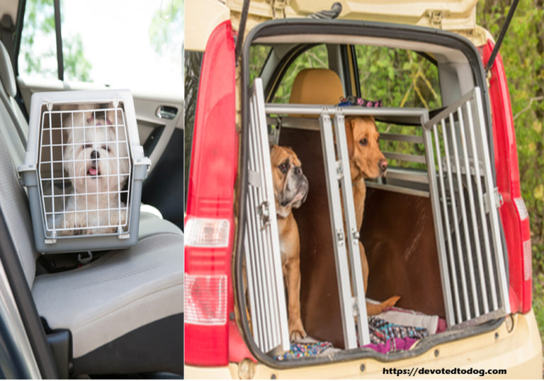 The Best Material Used in Making Pet Carriers