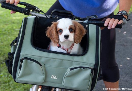 Practical Pet Carriers – Designer Quality at a Discount Price