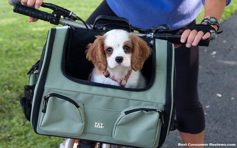 Practical Pet Carriers – Designer Quality at a Discount Price