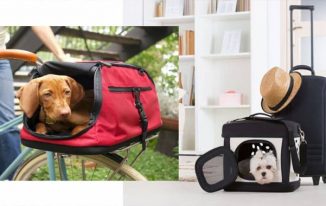 The Most Popular Types of Dog Carriers Reviewed