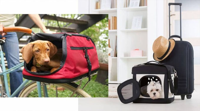 The Most Popular Types of Dog Carriers Reviewed