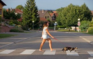 5 Reasons Why Adopting Pets Is Better