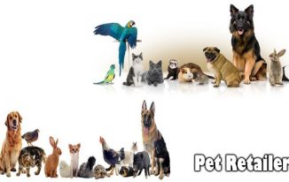 Shopping at On-line Pet Retailers