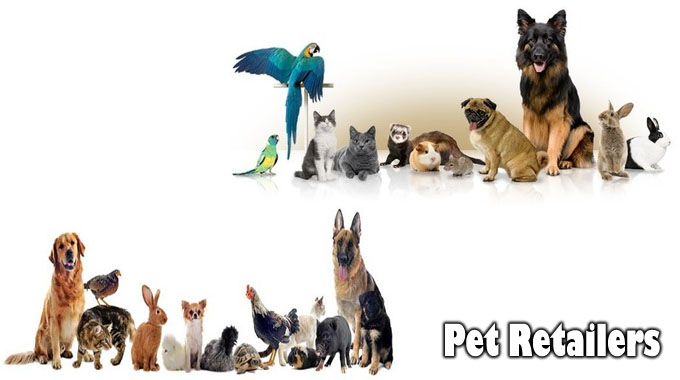 Shopping at On-line Pet Retailers