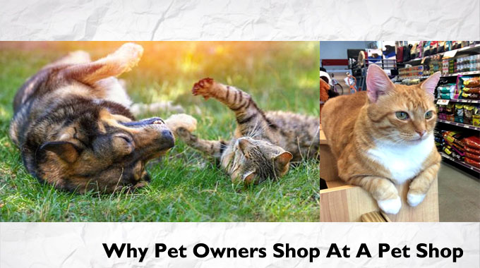 Why Pet Owners Shop At A Pet Shop