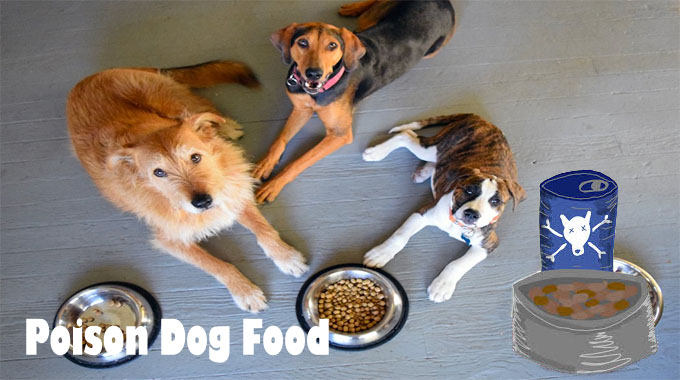 Poison Dog Food Remember – It truly is Even Worse Than You think