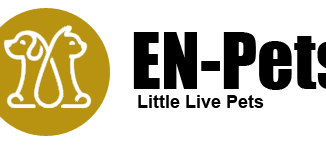 LOGO5