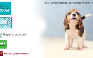 5 Best Online Pet Stores For Your Dogs’ Needs In The Uk