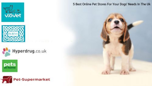 5 Best Online Pet Stores For Your Dogs’ Needs In The Uk