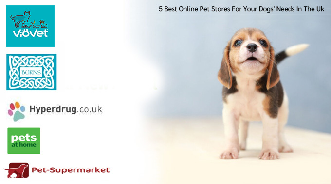 5 Best Online Pet Stores For Your Dogs’ Needs In The Uk