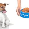 6 Tips for Picking the Perfect Pet Food