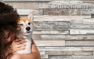 5 Proven Ways To Save Money On Pet Expenses